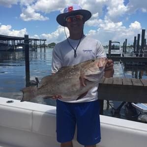 Meet your Posher, Nick